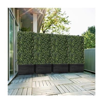Boxwood Πλαστικά προς πώληση