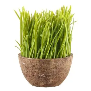 Τεχνητά γλάστρες